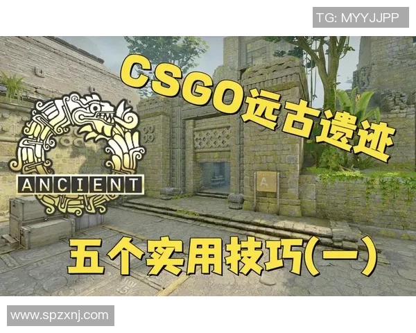 从零起步掌握CSGO意识技巧全方位攻略助你成为电竞高手